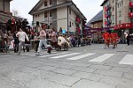 Gara delle Bighe 2011-7882